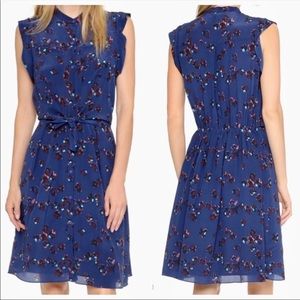 REBECCA TAYLOR 100% Silk Pinwheel Posy Blue Floral Dress 2